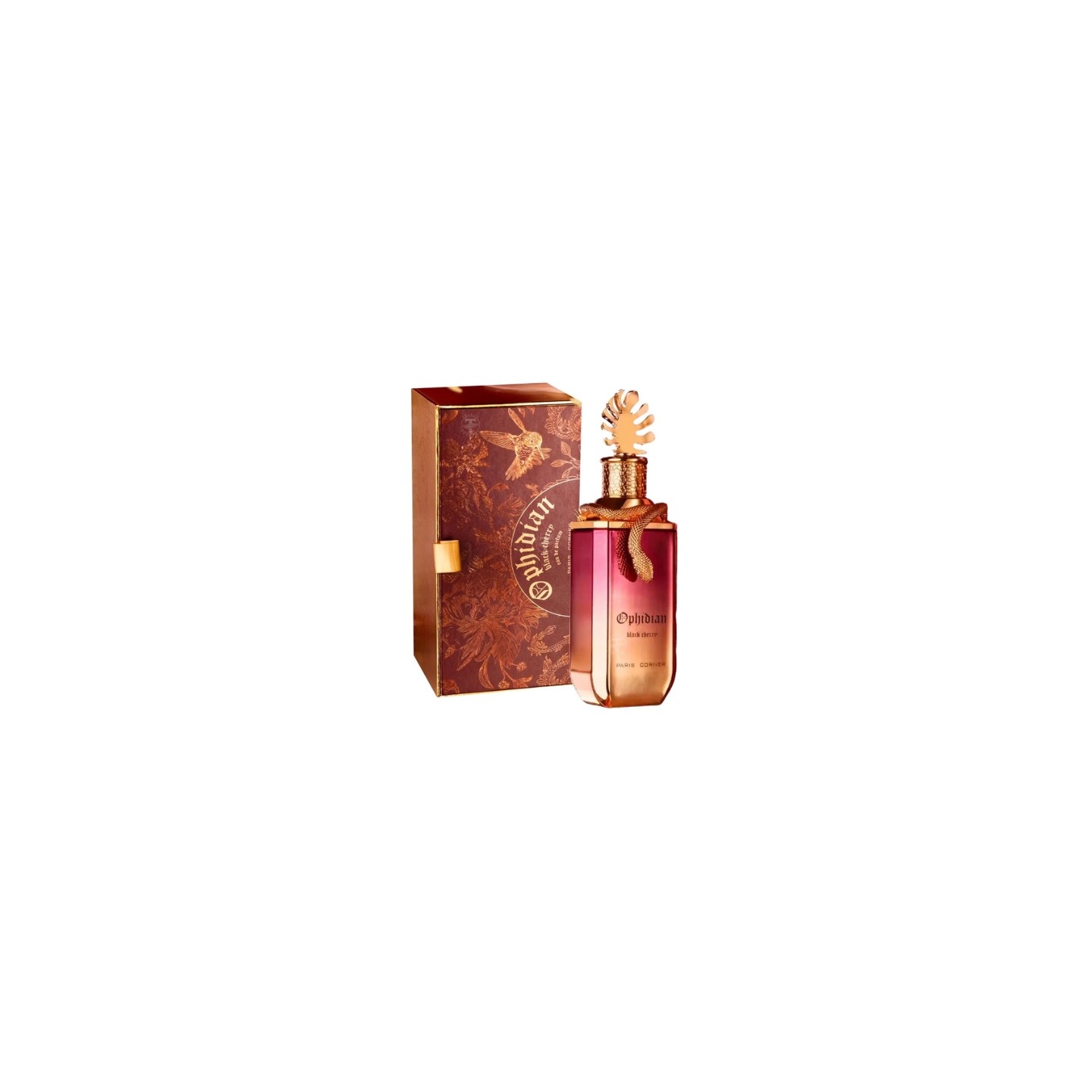 Paris Corner Ophidian Black Cherry Unisex Woda perfumowana dla kobiet i mężczyzn 100 ml Paris Corner Ophidian Black Cherry Unisex Woda perfumowana dla kobiet i mężczyzn 100 ml