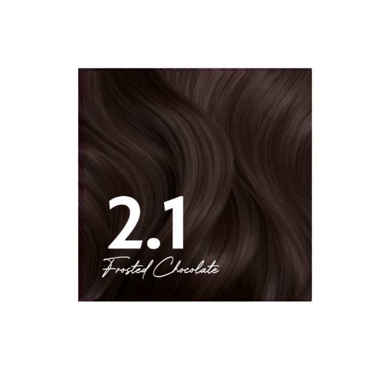 Stars from the Stars Hair Coloring Tint /2.1/ Frosted Chocolate 1 pc.